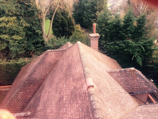 roof cleaned