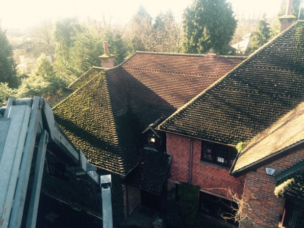roofing cleaning